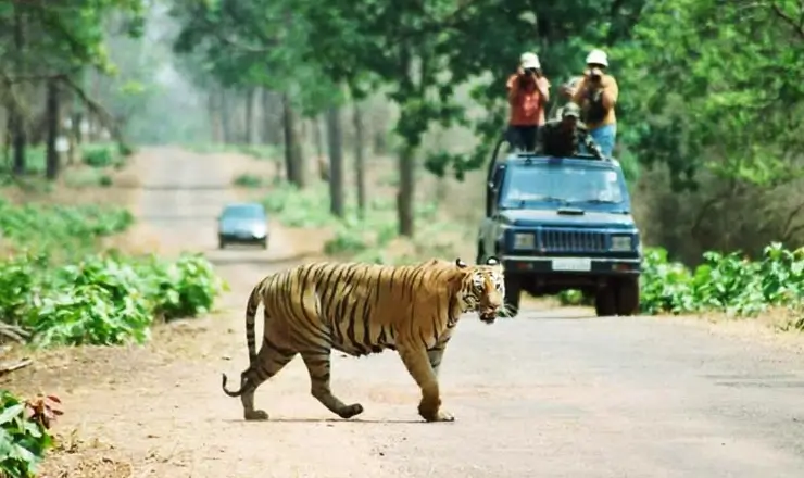 Maharashtra Wild Trail image